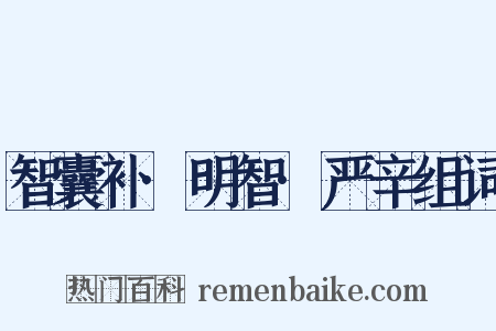 智囊补·明智·严辛组词是什么意思的图片